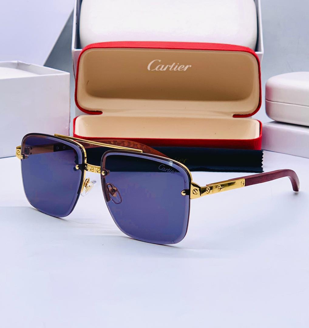 CAR38300 Sunglasses